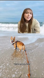 It's international dog day! What was the name of your first pet? 🐶🐱 | PBS