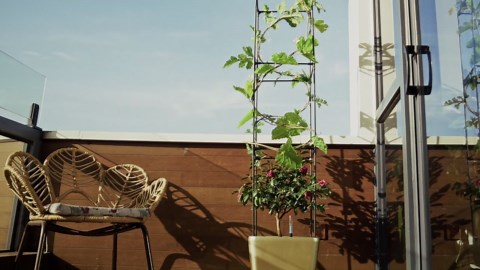 Slsy Tomato Planter with Trellis, 63in Raised Garden Bed Tomato Planter Box w/ Wheels, Self Watering Tomato Support Cages for Garden Pots, Use for Patios Greenhouse Indoor Outdoor Flowers Vegetable