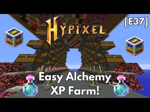 Making the EASIEST Alchemy XP Farm to get to Level 50 in Hypixel Skyblock! | Hypixel Skyblock [E37]