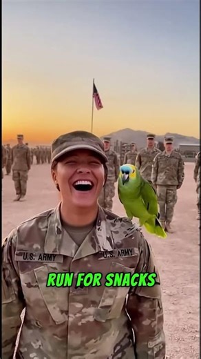 American Parrot Commands the Army