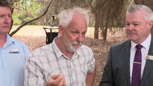 Lifesaving injection for borer beetle infected trees