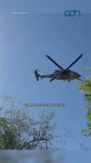 Ismael "El Mayo" Zambada's daughter arrested and released after operation in Sinaloa