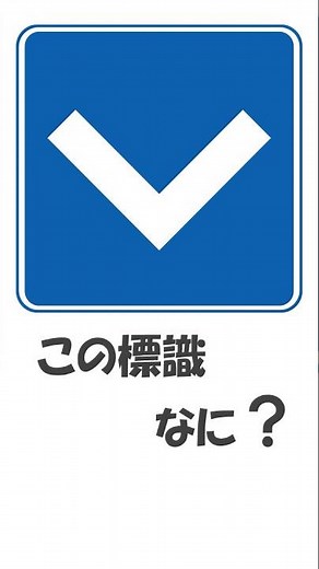この標識 、なに？ 「安全地帯」の標識です。 本免仮免学科試験 記憶に残る動画集 （ライセンスサービス）
