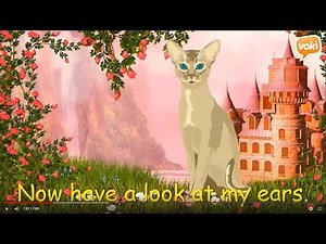 DESCRIPTIVE VIDEO ANIMASI My Cat