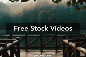 Man Walking Forest Videos, Download The BEST Free 4k Stock Video Footage & Man Walking Forest HD Video Clips