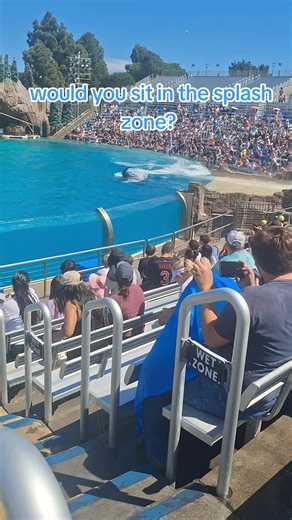 SeaWorld San Diego killer whale splash zone: would you sit there?