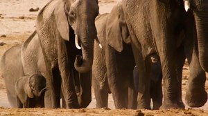 Nature - Extrait (3) VF