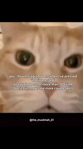 5.6K views · 59 reactions | World Meme Database on Reels | Facebook