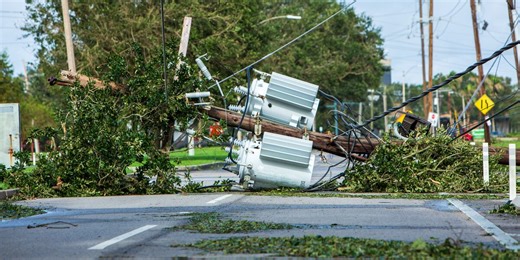 Preparing trees during hurricane season