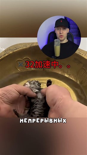 Мама-кошка отказалась от своего котёнка, но мужчина его спас #котенок #животные #shorts