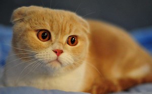 【Pi梗·语录】极限生存合集篇