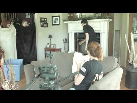 How to safely get a bird out of your chimney!