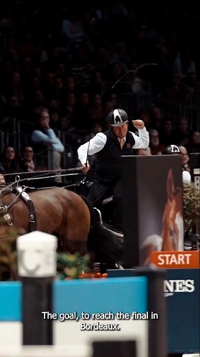 L’étape lyonnaise de la FEI Driving World Cup a été un véritable spectacle ! 🏇 Boyd Exell a de nouveau brillé et s’est imposé lors de celle-ci. Tous les regards se tournent désormais vers Bordeaux, où Boyd remettra son titre en jeu le 4 février 2024. 🏆👏#FEIDrivingWorldCup #JumpingBordeaux #showjumping #equestrian | Jumping International de Bordeaux