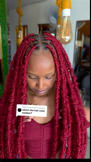 Stunning Butterfly Locs in Color 900