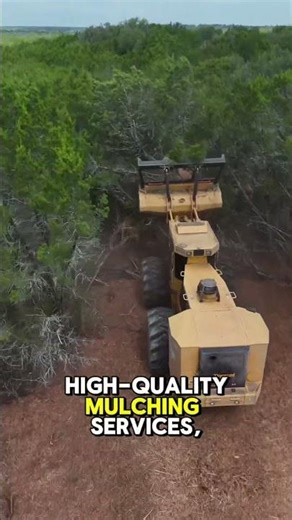 Cedar Eaters clearing a new fence line ROW for a customer in Lometa TX.
