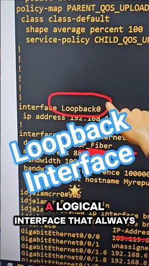 What is a Loopback Interface ?