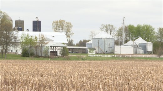 Microsoft buys part of St. Joe Farm