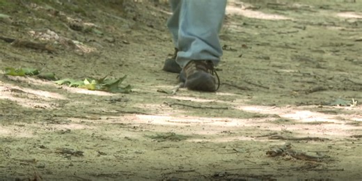 Safety tips for camping and hiking during the summer