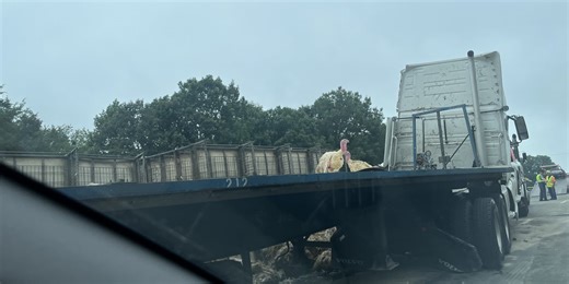 Lanes back open after tractor-trailer crash on US-29