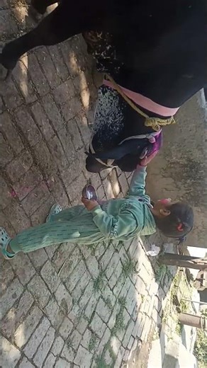 Darsh ne gyi ko pyar se colour lga diya 😍🐄 l Part 2 #shorts #cutebaby #cowlove #ytshorts