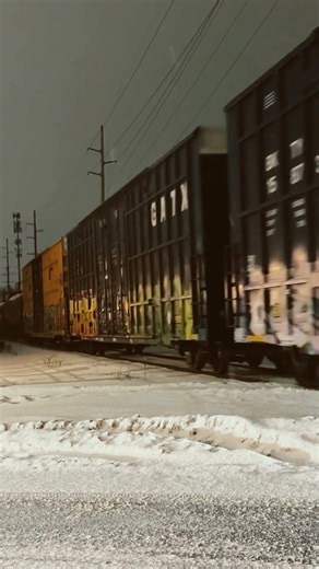 #train Brighton, Michigan