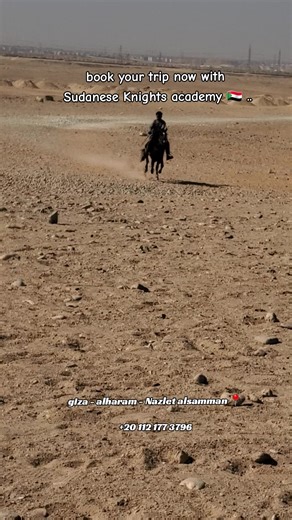 احجز رحلتك مع أكاديمية فرسان السودان للخيول