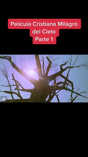 Milagro del Cielo: Película Cristiana | Parte 1 | Milagros en el Cielo