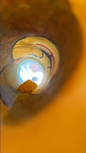 🧐 nosy pet😵‍💫👽#petlover #cutebunny #bunnyadventure #shorts #nosy #https #ジブリ #rabbit