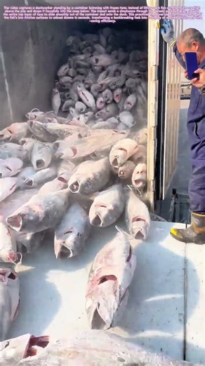 Tuna on the Toss: The Unexpected Physics of Unloading a Catch