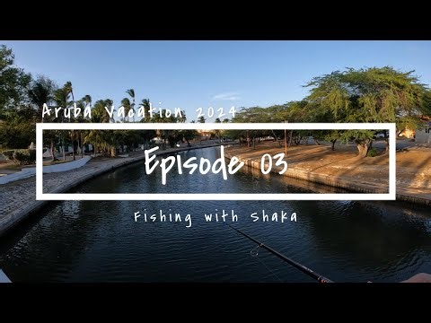 Aruba Episode 03 - Trying to Catch My First Tarpon Fishing on Aruba