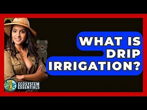 What Is Drip Irrigation? - Ecosystem Essentials