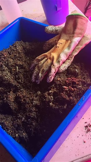 mixing soil. use what you have on hand #gardening #seedlings