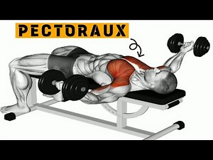 PECTORAUX AVEC HALTERES