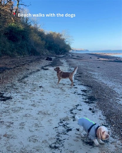 Red Funnel Isle of Wight Ferry on Reels