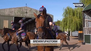 1.6K views · 21 reactions | If you haven't managed to watch the latest edition of #ThisRacingLife, you can watch it in full on our website here >>>https://www.racingtv.com/videos/watch/ondemand/76554 | Racing TV | Facebook