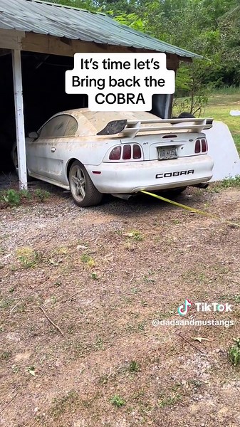 1997 cobra mustang lets bring back the old beast. Getting started. #cobra #1997 #1997cobra #svt #svtcobra #terminator #model101 #model #beast #back #white #whitecobra #snake #king #kingcobra #ford #fordracing #racing #mustang #mustanggt #gtmustang #gt #1million #1billion #super #supersnake #wash #washjob #job #cleaning #chemicalguys #cars #performance #hellcat #hellcatkiller #1 #7 #supercharger #supercharged #turbo #parts #restore #camaro #ss #LS