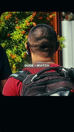 Understanding Dog Behavior Through Unique Experiments