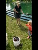 27 reactions | Victoria and family had so much fun catching our Channel Catfish today. Randy and Eric helped insure they had a great time. | Spring Valley Trout Farm | Facebook