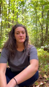 7.2K views · 202 reactions | Everyone talks about spring...