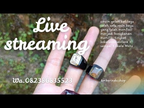 🔴 LIVE STREAMING 📽️ BATU AKIK ‼️ NATURAL AMBER KATILAYU 😱😱