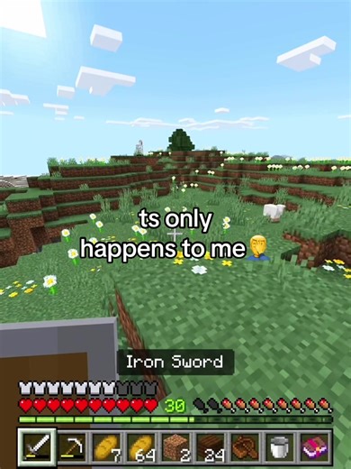 clip old asf i haven’t played in months #minecraft #mc #gaming #xyzbca #fyp