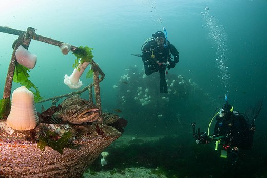 Take A Virtual Dive Through Edmonds Underwater Park―My Underwater Backyard―Annie Crawley's Dive Team — Edmonds Underwater Park