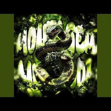 MONTAGEM ANACONDA - Slowed