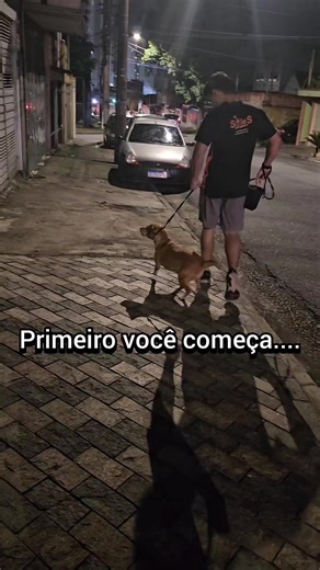 🚨Achar que evitar o problema vai resolver a reatividade do seu cão. 🐾Duvido que você saiba disso: seu cachorro não é reativo porque ele é