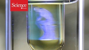 53K views · 613 reactions | This Star Trek–like replicator can create entire objects in minutes: https://fcld.ly/88qtuut | News from Science | Facebook