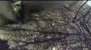 Soldier Exploded After Step On A Landmine