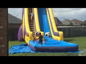 An adorable Labrador dog overtakes children to slip down water slide .