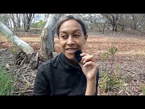 Ask and Answer Yourself | Self Inquiry