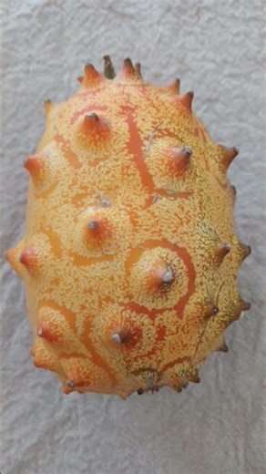 One Whole Honey Kiwano | @ResearchAuthorNZ #Shorts #ResearchAuthorNZArchive