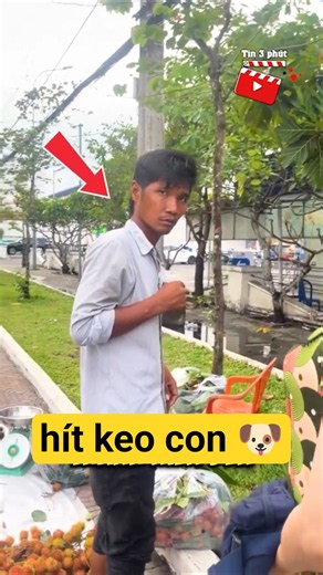 Thanh niên hít keo con chó đến ăn chôm chôm #shorts